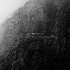 Antonymes - Misshapen Beauty II (Spheruleus Interpretation)
