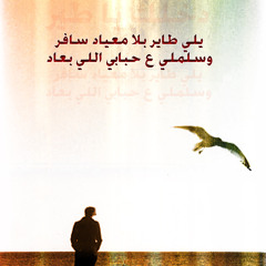 دخلك ياطير ياللى طاير بلا ميعاد