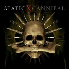The Only - Static X