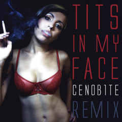 TITS IN MY FACE ft. Midnight Conspiracy, DJ Funk & Fast Eddie (CENOB1TE RMX) FREE DOWNLOAD
