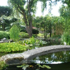 Jade Lately - Zen Garden (Prod. By Dan Oddysee)
