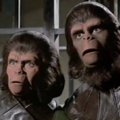 Baby Please Don't Go