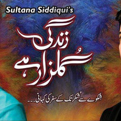 Zindagi gulzar hai - hum tv - hadiqa kiani