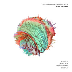 Gecko Chamber, Matthis Meyer - Slow to Speak (Original Mix)