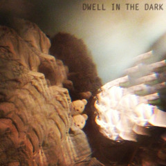 Dwell in the Dark