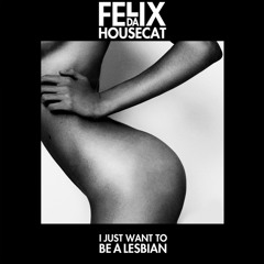 Felix Da Housecat – I Just Want To Be A Lesbian (feat. Romina Cohn) [Riton Remix] Preview