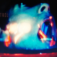 The Things Inside