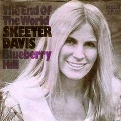 The End of The World (original by Skeeter Davis)