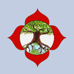 Muladhara Audiospell test