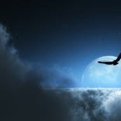 Prophisee- Flyin