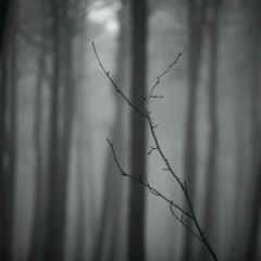Ambient DubTechno Mix