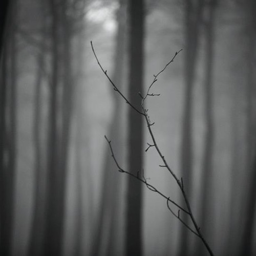 Ambient DubTechno Mix