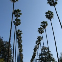 Czarnuch - Pomiar ciśnienia [Snippet]