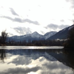 Hold me my darling - Old