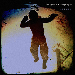 Indigolab & Zenjungle - Escape