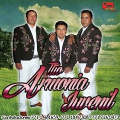 El Alegre - Trio Armonía Juvenil