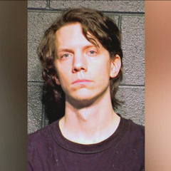 Julian Assange: Stratfor Hacker Jeremy Hammond Guilty Plea Part of Crackdown on Journalism, Activism