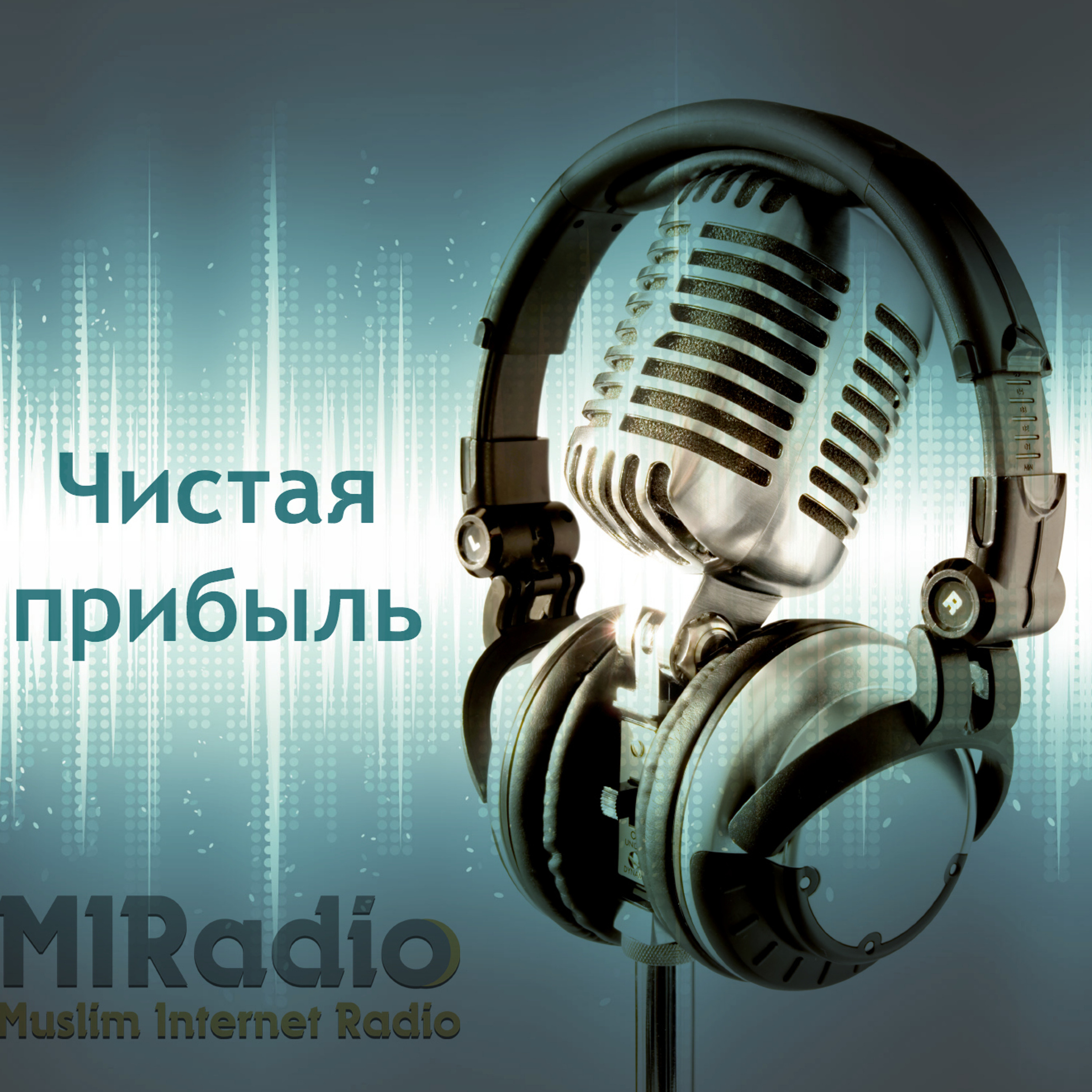 MIRadio.ru: Чистая прибыль