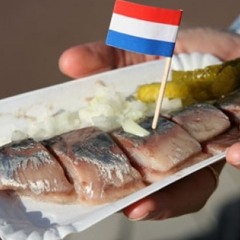 Circus Huichbreft - 02 - Elke haring is een openbaring