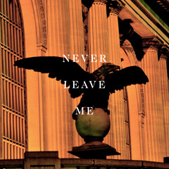Karl X Johan - Never Leave Me