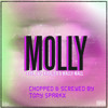 Tyga ft Wiz Khalifa - Molly (Chopped & Screwed)