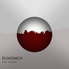 The storm