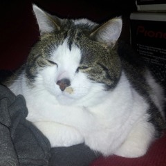 Dutch Deejays Dominate - Close Your Eyes (SNIPPET)