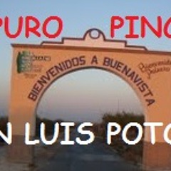 PURO SAN LUIS POTOSI MIX!!!