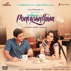 Saayndhu Saayndhu (Ilayaraja) - Musical Cover