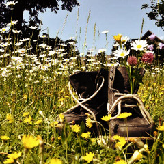 Lustig Wandern