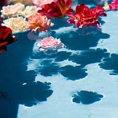 Taron-Trekka - Floating Flowers ::: FREE DOWNLOAD !!! :::