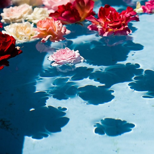 Taron-Trekka - Floating Flowers ::: FREE DOWNLOAD !!! :::