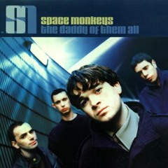 Year Of The Monkey- Space Monkeys