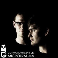 Gottwood Festival Promotion Mix // Free Download