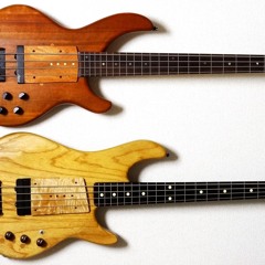 G&L fretless, Aria ProⅡ fretless
