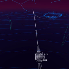 DiscoFishjn