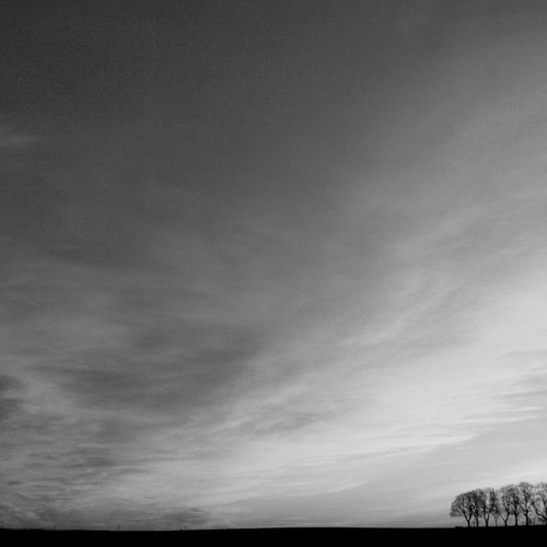 The shelter of stillness