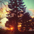 Artwork for Ryan Adams - Wonderwall (Nielsen&TGhane Remix)
