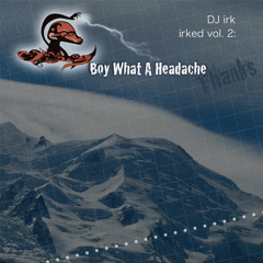 irked vol. 2: Boy What A Headache (2010)
