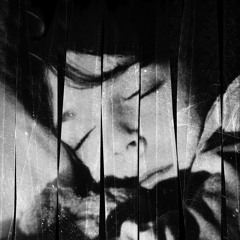 The Freemartin Calf (OST) // Vinyl+DVD // Gizeh Records 2013