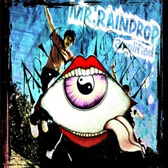 Mr. Raindrop cover