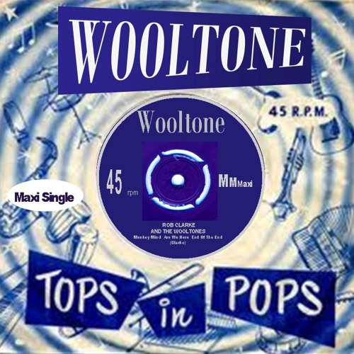 Wooltone Maxi Single - Monkey Mind/Are We Here/ End of the End