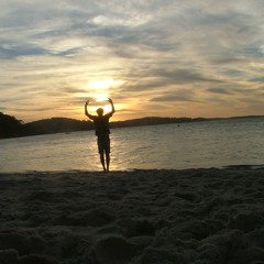 basstin - elektro/minimal 2013