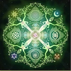 Ayahuasca medicina