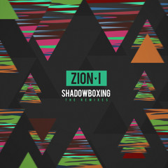 Human Being (Bassnectar Edit)