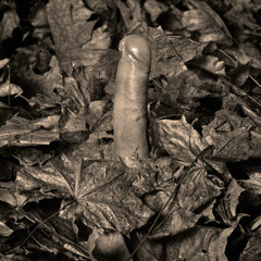Pornophonie Session 2