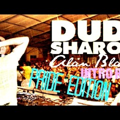 DUDI SHARON - WERE ARE HERE (Alan Blast IntroRMX) Pride Edition