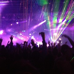 PL X Bassnectar (rough edit)