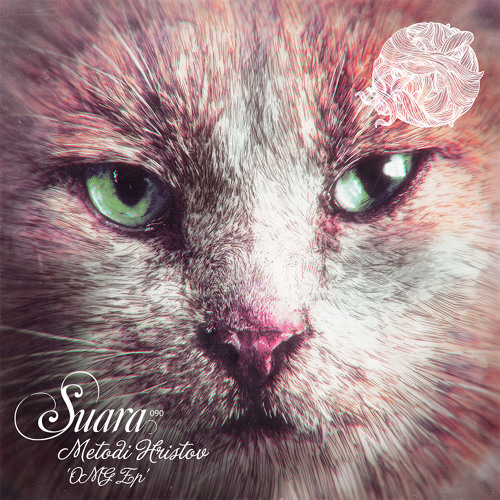 Pavel Petrov, Metodi Hristov - Pretty Face (Original Mix) [Suara]