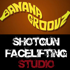 Prezes feat. Banana Groovz - Wylewam wywrotowe wersy